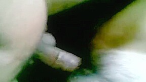 Desi Couple Watching Porn and Fucking Hard in Room – FreePron.Org