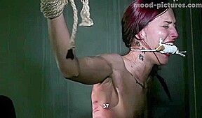 False Denonciation – FreePron.Org