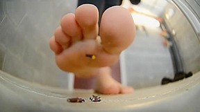 Giantess Feet Smushing – FreePron.Org