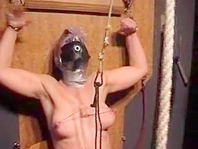 Hottest homemade Fetish, BDSM porn video – FreePron.Org