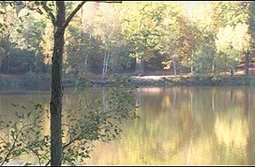 Lakeside Villein Humiliation – FreePron.Org
