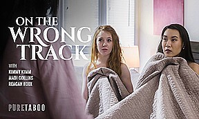 On The Wrong Track – FreePron.Org