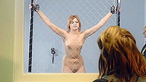 The Milgram Experiment – 2 – FreePron.Org