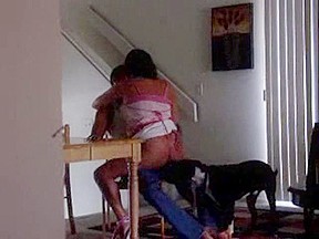 Wife riding the cock on the chair – FreePron.Org